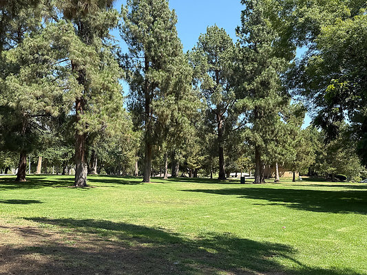 1-51