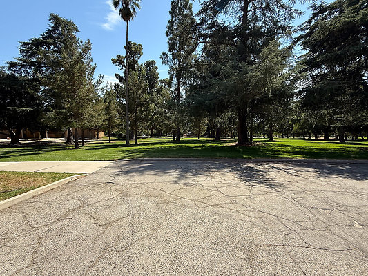 Community Bldg-Trees-Road