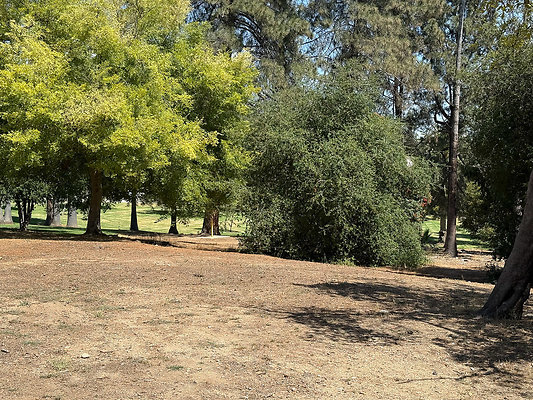1-03