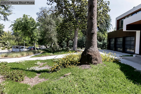 79front-yard-side-view