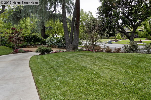 56front-lawn