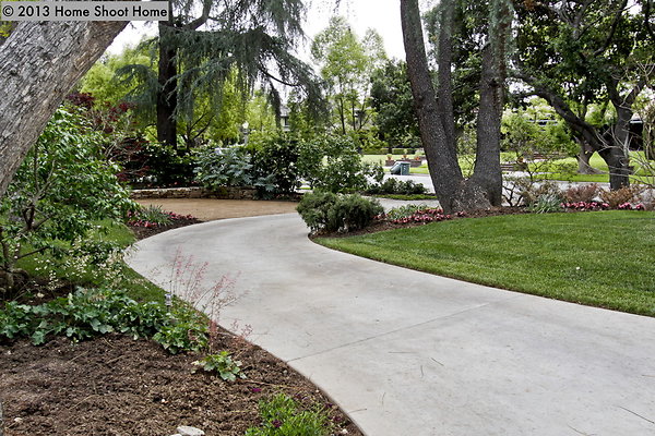 59driveway-reverse