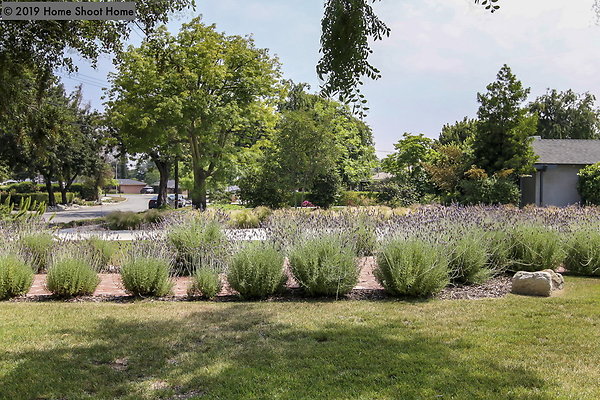80front-lawn-side-view