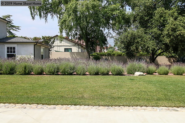81front-lawn-side-view-reverse