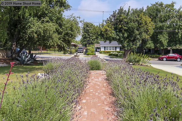 79view-from-front
