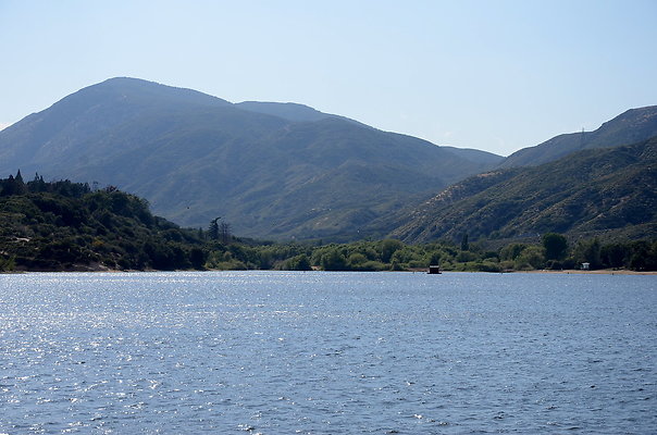 DSC 0879