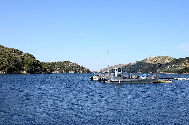 DSC 0882