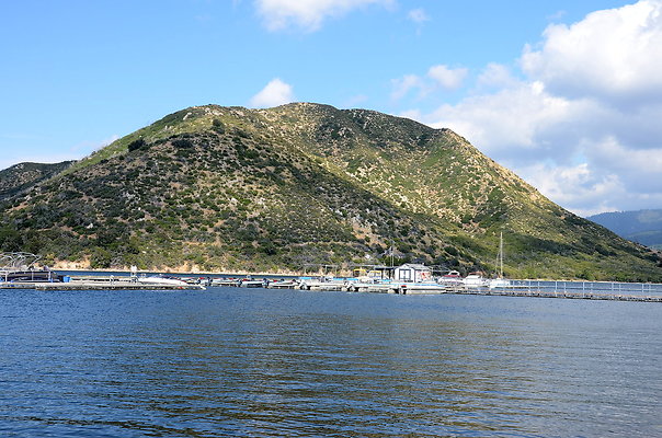 DSC 0885