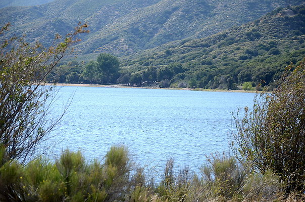 DSC 0871
