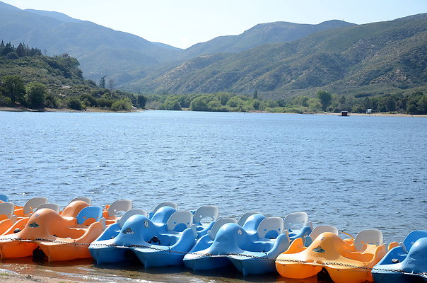 DSC 0848