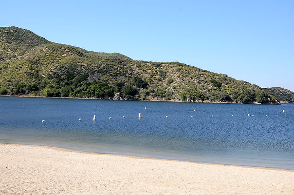 DSC 0866