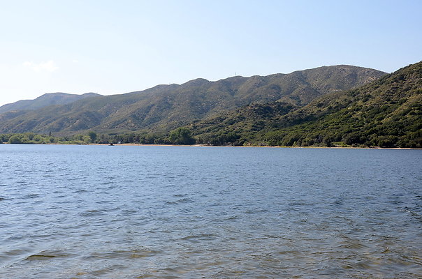 DSC 0856