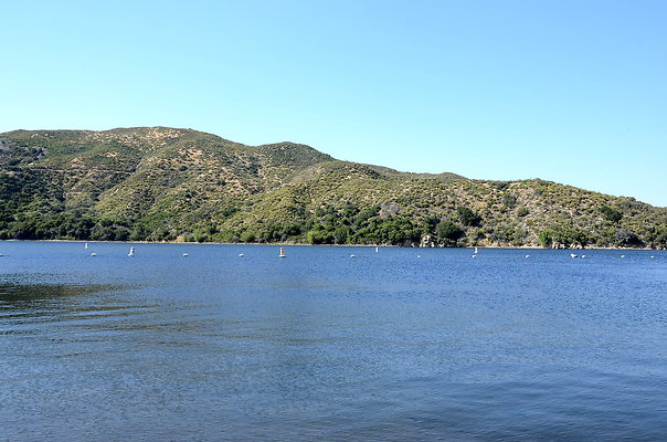 DSC 0845