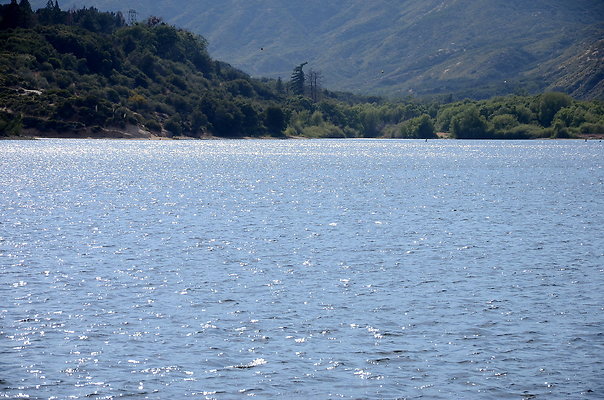 DSC 0877