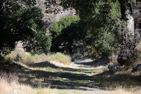 1-36
