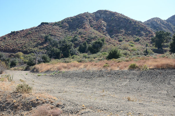Lower Poison Oak Hill