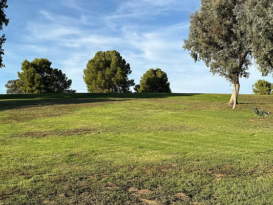 1-06