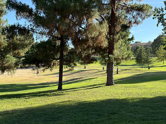 Park - Amphitheater