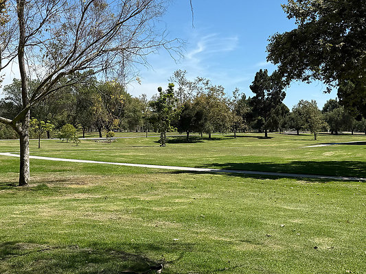 1-19