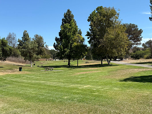1-06