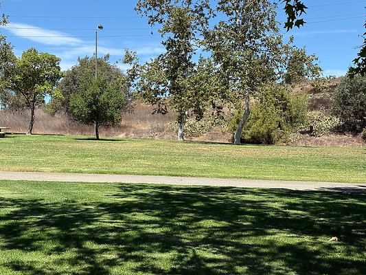 East Picnic Valley