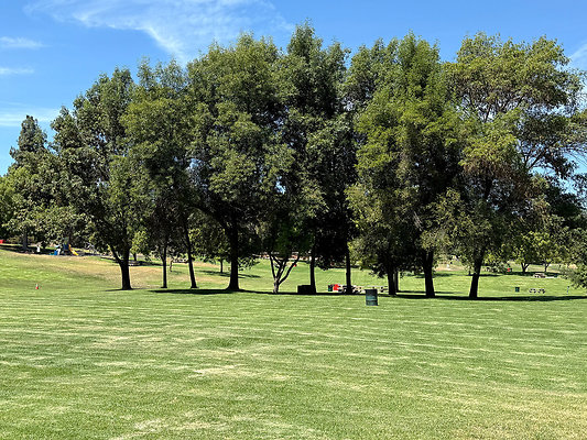 West Picnic Valley