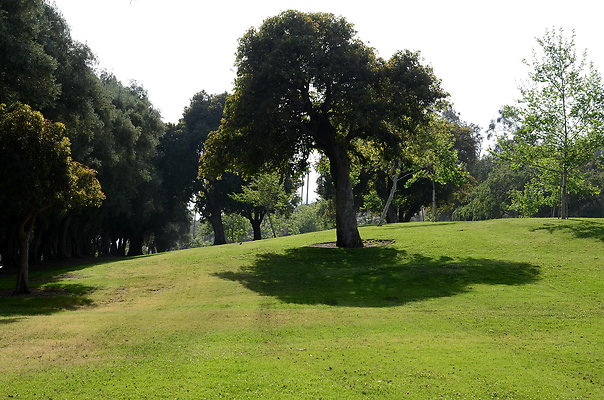 DSC 4440