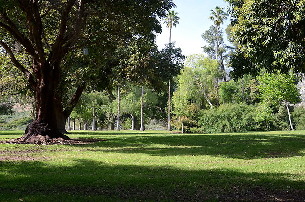DSC 4380