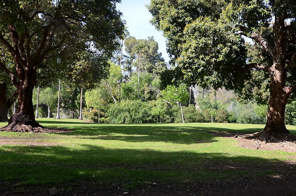 DSC 4375