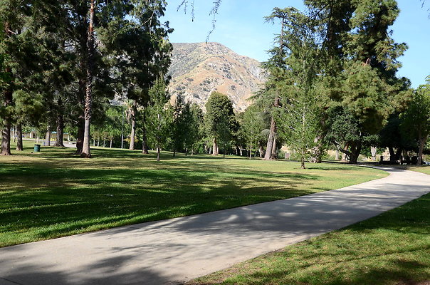 Upper Section - Pathways