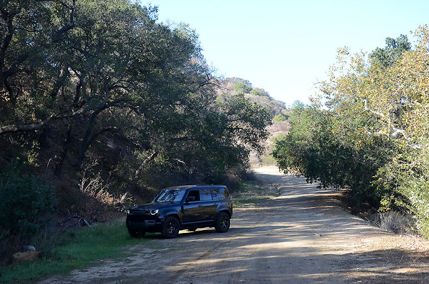 Lower Dirt Road