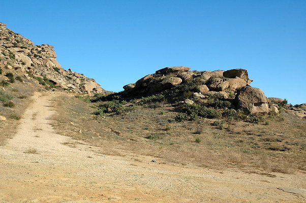 DSC 0006