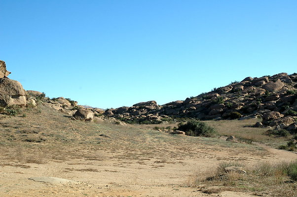 DSC 0007