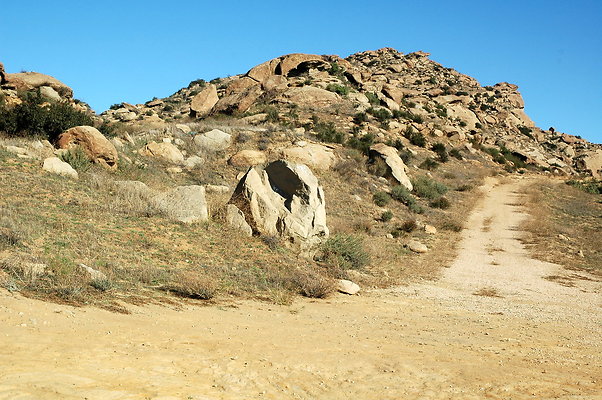 DSC 0005