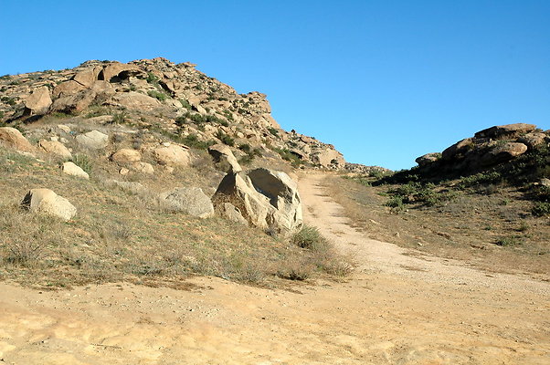 DSC 0002