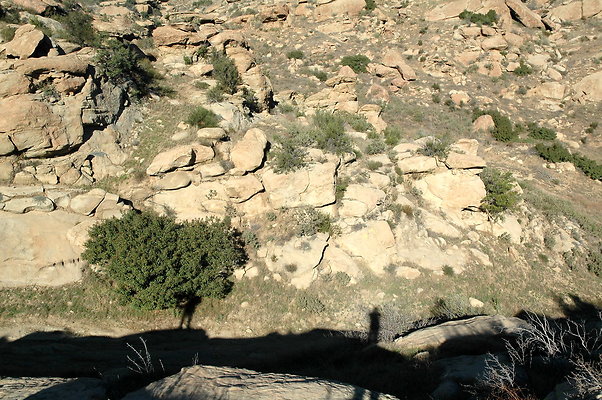 DSC 0028