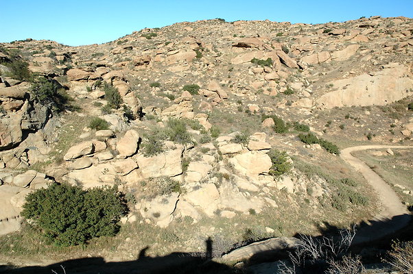 DSC 0030