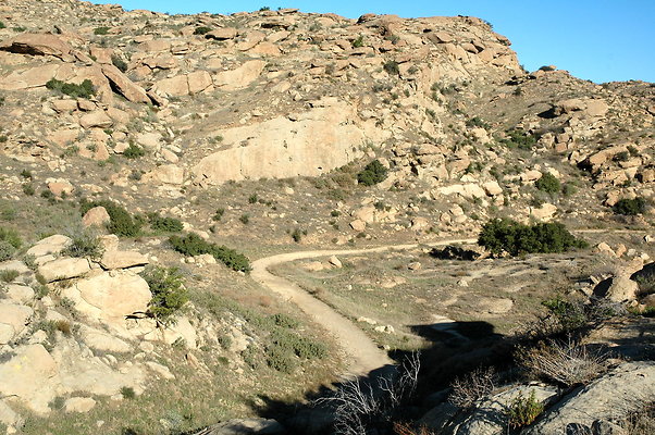 DSC 0025
