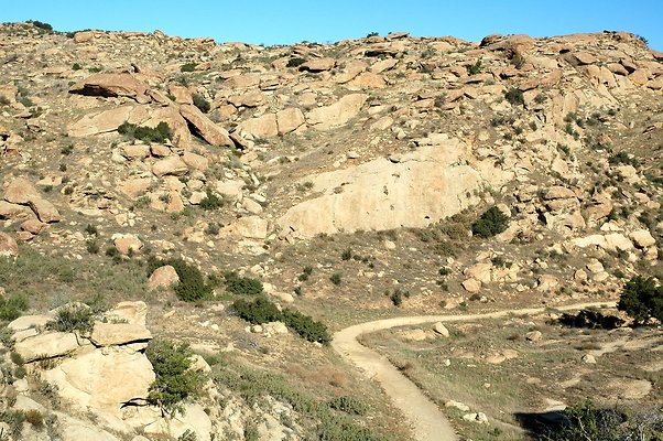 DSC 0033