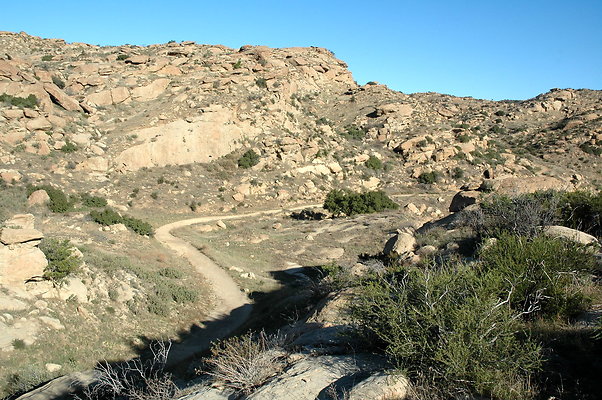 DSC 0031
