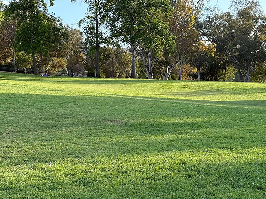 1-51