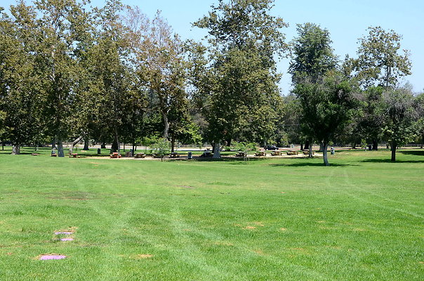 DSC 6991