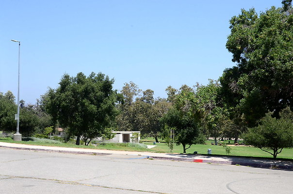 DSC 6985
