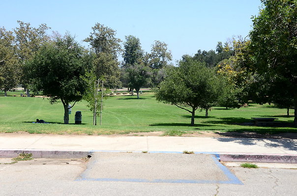 DSC 6990