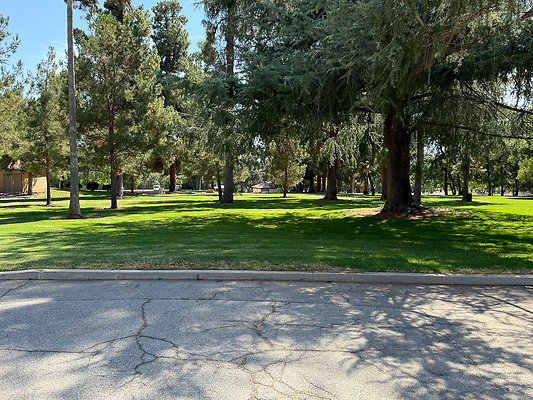 Community Bldg-Trees-Road