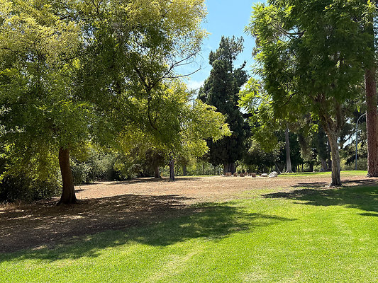 Group Picnic Area