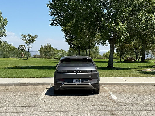 South Lot - Dog Park