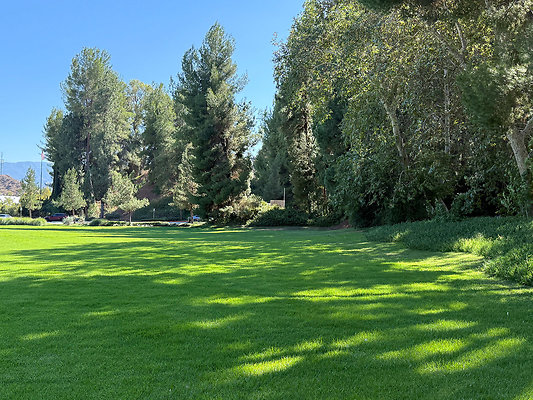 South Grass