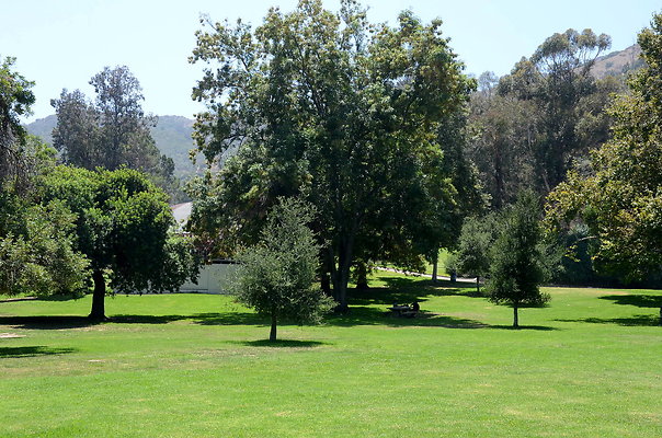 Park Center Lot