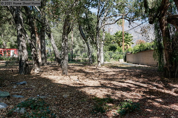 104upper-backyard-side-view-reverse